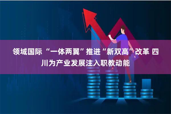 领域国际 “一体两翼”推进“新双高”改革 四川为产业发展注入职教动能