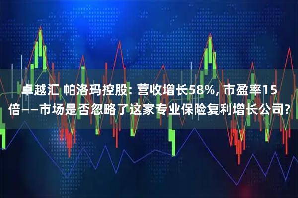 卓越汇 帕洛玛控股: 营收增长58%, 市盈率15倍——市场是否忽略了这家专业保险复利增长公司?
